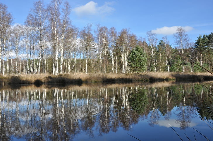 nature, water, landscape