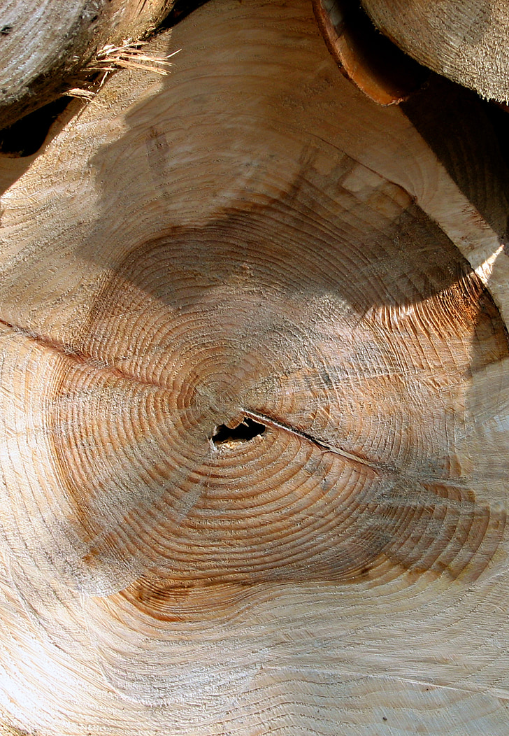 log, wood, timber, lumber, tree, wooden, industry