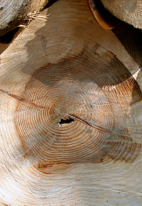 Registro, legno, legname, legname, albero, in legno, industria