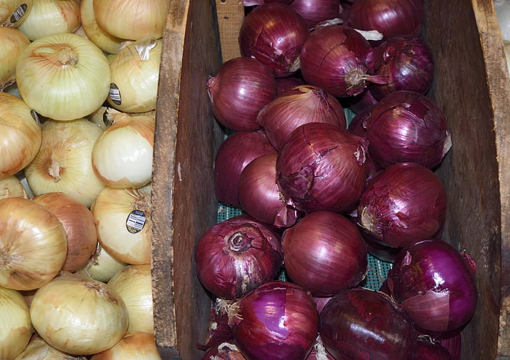 onions, for sale, herb, food, market, sale, healthy