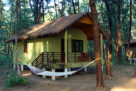 Journal, Hut, cabane bois, toit en pente, Forest, Casuarina, Inde