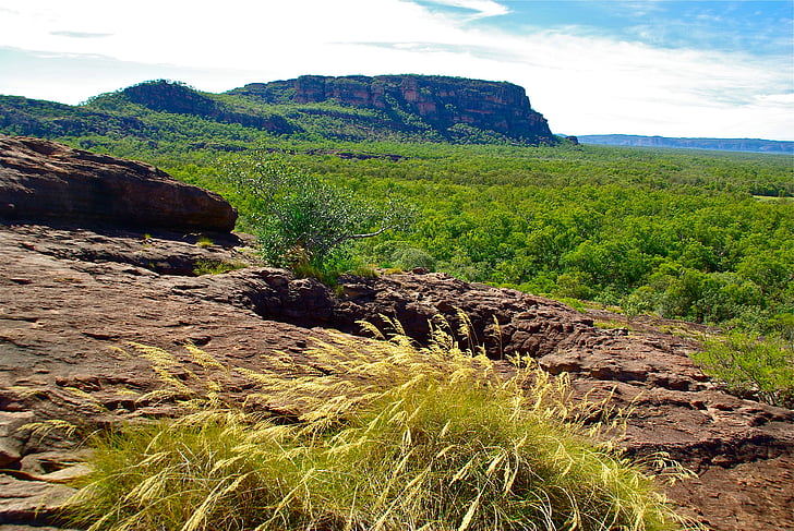 Australien, Outback, Landschaft, Aussie, Tourismus, landschaftlich reizvolle, Natur