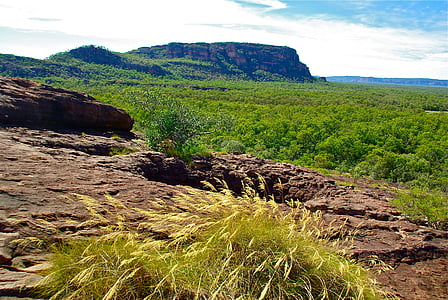 australia, outback, landscape, aussie, tourism, scenic, nature