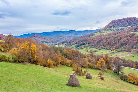 dorp, bomen, herfst, landschap, natuur, berg