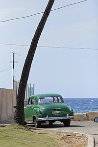 Cuba, Havana, Oldtimer, Palm, kysten, Miramar, grønn