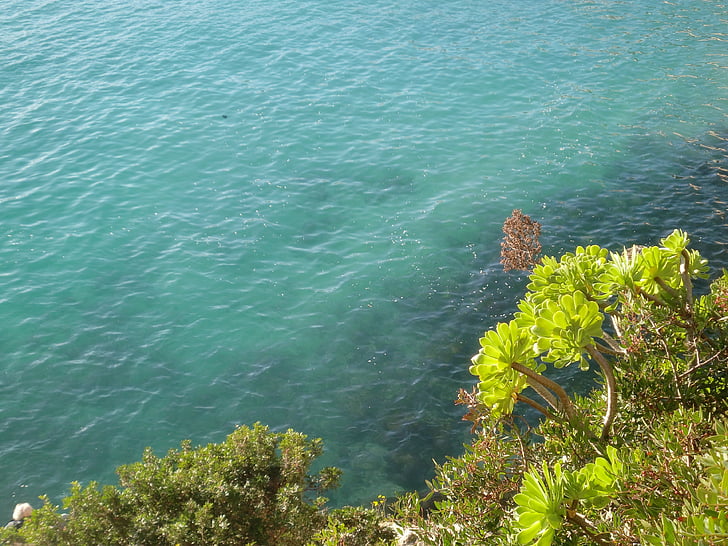 Mar, Costa, Mediterrània, l'aigua, estat d'ànim, turquesa, verd