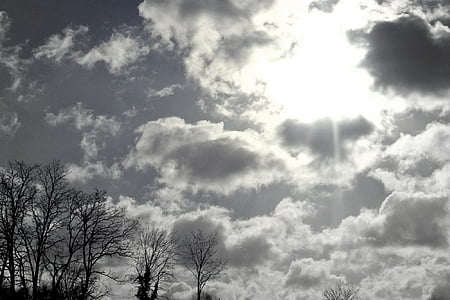 облака, Солнце, небо, деревья, Природа, пейзаж, Гармония