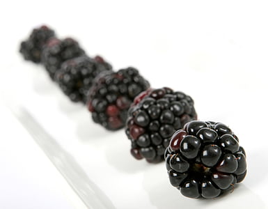 jagoda, czarny, BlackBerry, Blueberry, śniadanie, zbliżenie, Kolor