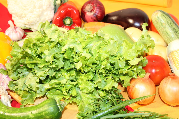comida, produtos hortícolas, verdes, cozinha, refeição, gastronomia, uma alimentação saudável