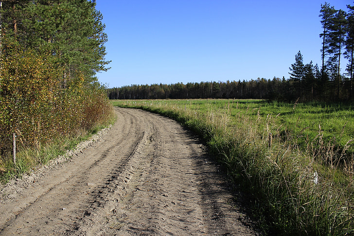 jalan, pedesaan, pemandangan, Finlandia, lingkungan, bidang