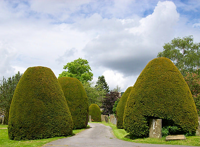 Baslow, Αγγλία, Ηνωμένο Βασίλειο, ουρανός, σύννεφα, δέντρα, yews