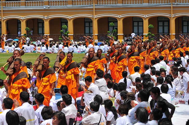 buddhista szerzetesek, szerzetesek, meditálni, hagyományok, önkéntes, Thaiföld, Wat