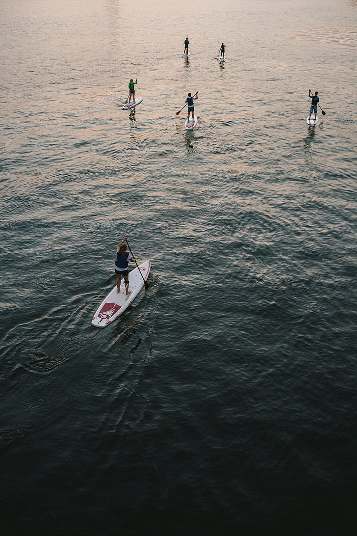 group, paddle, boat, body, water, daytime, fitness