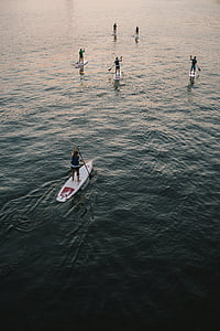 集团, 桨, 小船, 身体, 水, 白天, 健身