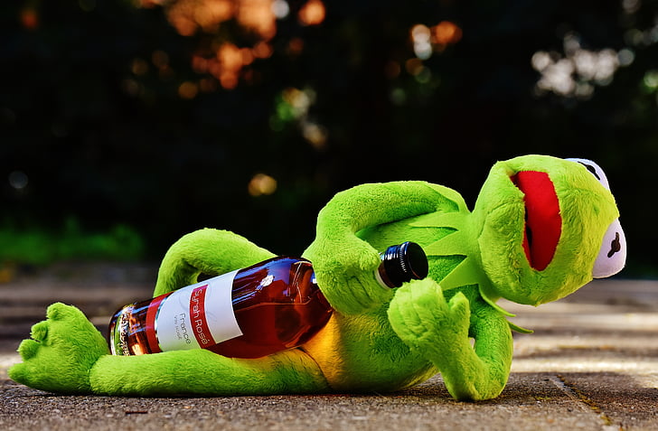 Кърмит, жаба, вино, напитка, алкохол, пиян, почивка