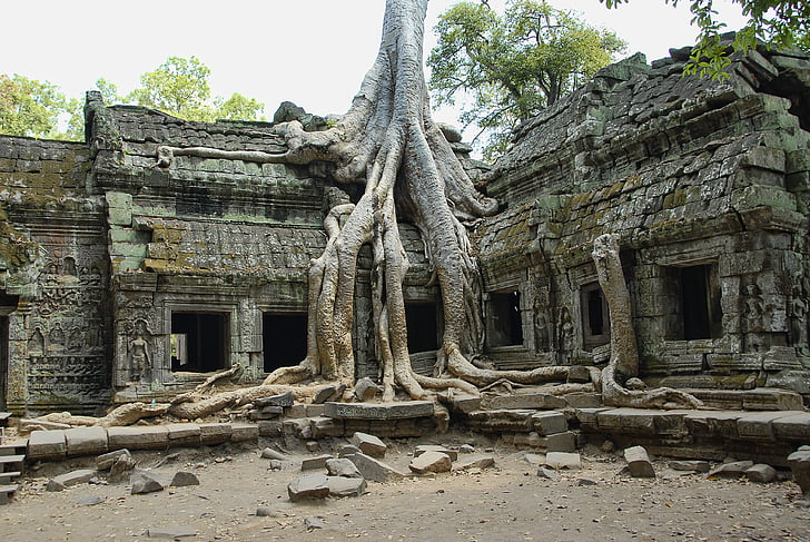 ta prohm, Cambodge, Angkor, Wat, Tourisme, architecture, voyage