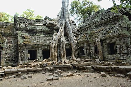 ta prohm, Kambodja, Angkor, Wat, turism, arkitektur, resor