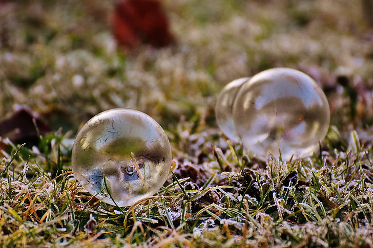 mydlová bublina, mrazené, zimné, frozen bubble, za studena, mrazivé, tráva