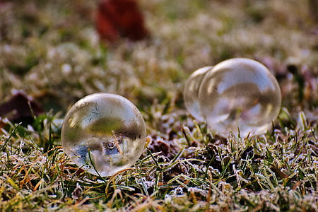 mýdlová bublina, zmrazené, Zimní, zmrazená bubble, chlad, Zimní, tráva