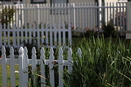 white picket fence, yard, outdoor, green, design, white, picket