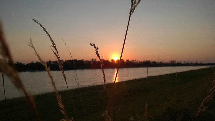 puesta de sol, Düsseldorf, Rin, Banco, Río, Alemania, paisaje del río