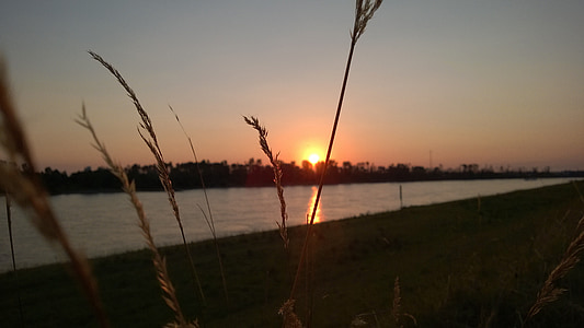 Sunset, Düsseldorf, Rhinen, Bank, floden, Tyskland, floden landskab