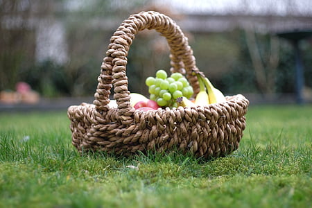 jardim, Apple, frutas, natural, saudável, natureza, cesta