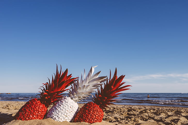 beach, blue sky, fruits, ocean, outdoors, painted, pineapples