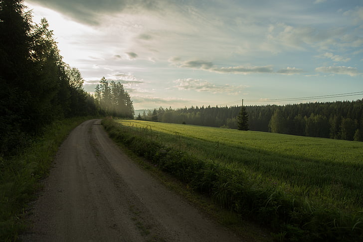 zona rural, paisagem, Finlandês, Milieu, agricultura, nuvens, estrada