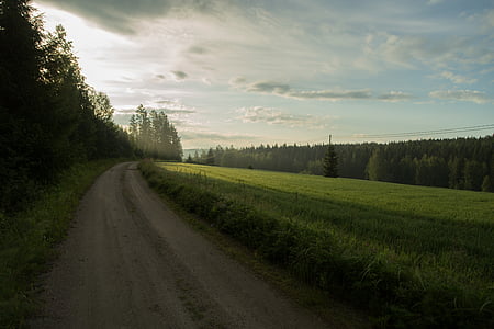 paisatge, paisatge, finlandesa, medi, l'agricultura, núvols, carretera