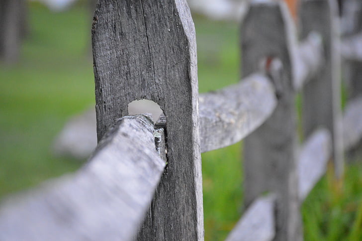 fence, old fashion, post, tree trunk, day, focus on foreground, outdoors