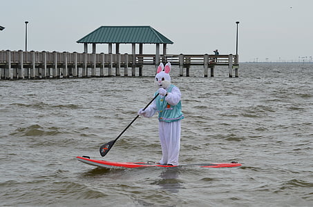 easter, paddle board, adventure, mammal, bunny, water, surf