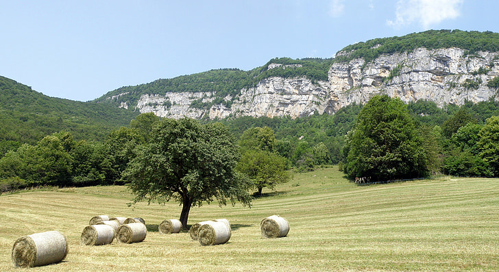 allèves, Haute-savoie, Franciaország, a mező, széna, bála, sziklák