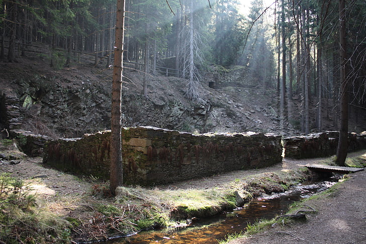 forest, bach, röhr ditch, ruin, water