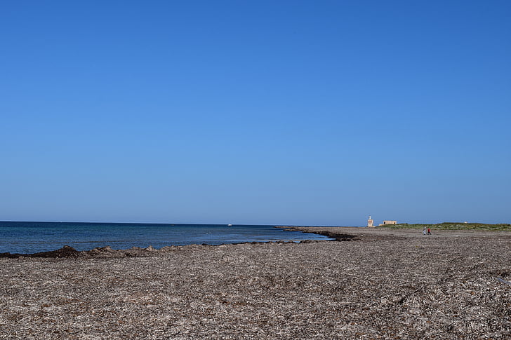 beach, coast, sea, mediterranean, seaweed, originally, nature