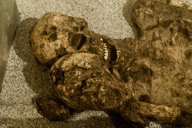 arkeologi, Castros, Vigo, museet, exponering, skelettet