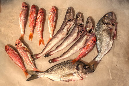 friss hal, nyers, tenger, tenger gyümölcsei, hal, élelmiszer, friss