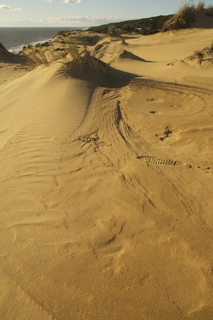 Dune, piasek, krajobraz