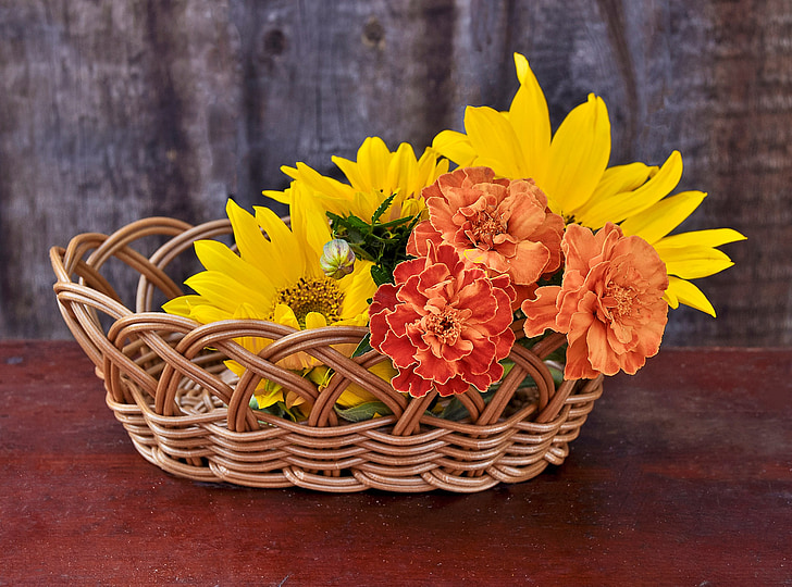 Girasoles, flores, cesta, amarillo, flores, natural, florece