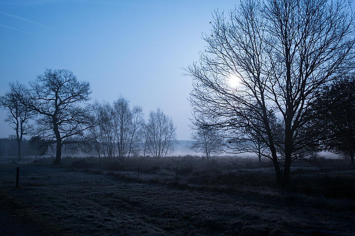 morgenstimmung, Heide, pogány Wahner, Napkelte, ködös, ködös, köd