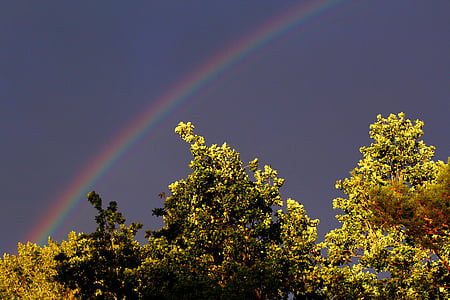 Regenbogen, Himmel, Stimmung, Natur, Farbe, Naturschauspiel, Spektrum