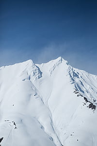 птицы, глаз, Фото, Гора, Альпы, заполнены, снег