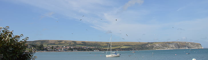 england, boat, sea gulls, devon, water, uk, sea