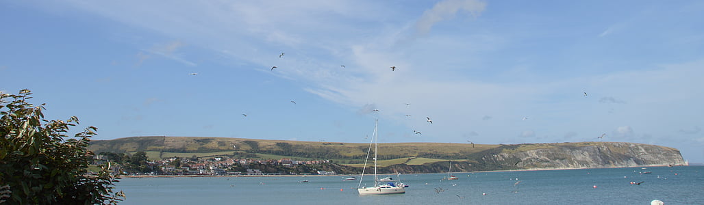 Inglaterra, barco, gaivotas, Devon, água, Reino Unido, mar