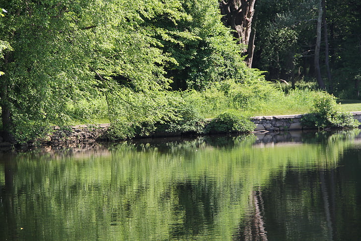 pentucket, lake, reflection, nature, water, summer, beautiful