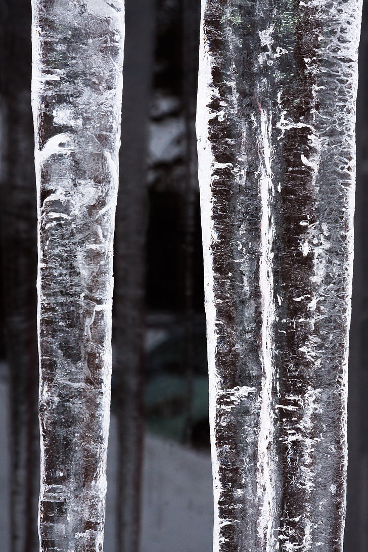 лед, icicle, Прозорец, студено, зимни, бяло, Фрост