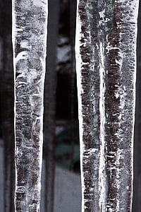 冰, 冰柱, 窗口, 感冒, 冬天, 白色, 弗罗斯特