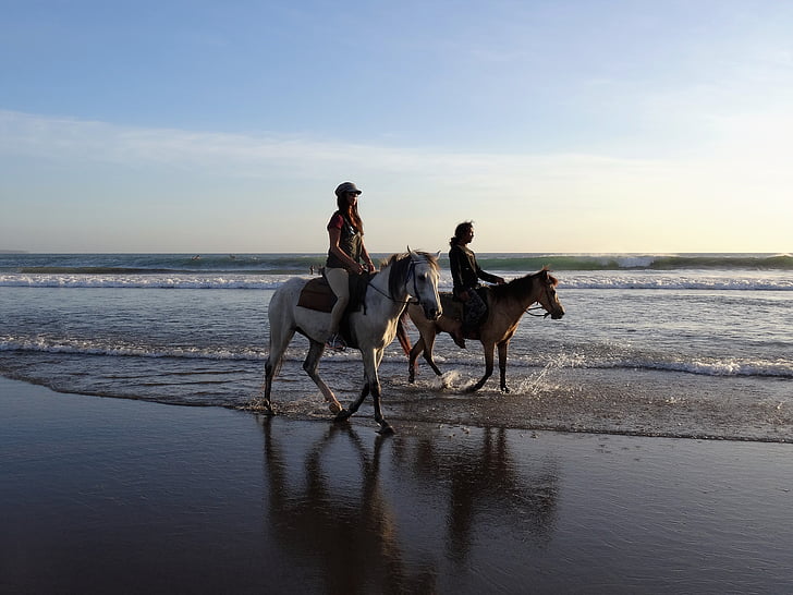 a peu a la platja, cavalls, Bali, platja, Mar