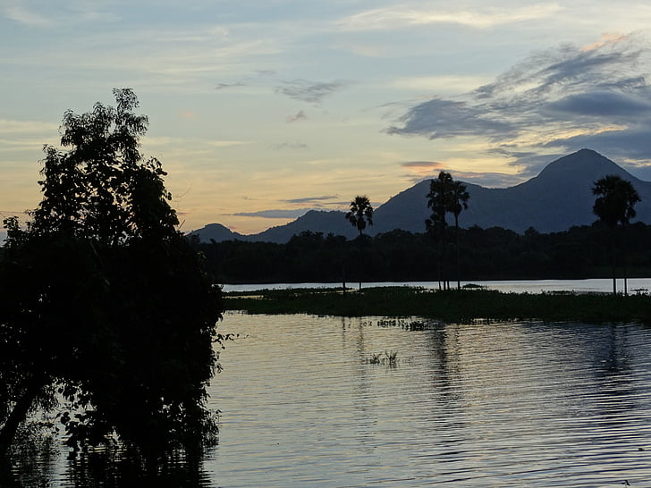 natur, Kerala, Indien, grøn, landskab, Sunset, Sky