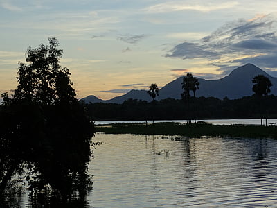 nature, Kerala, Inde, vert, paysage, coucher de soleil, Sky